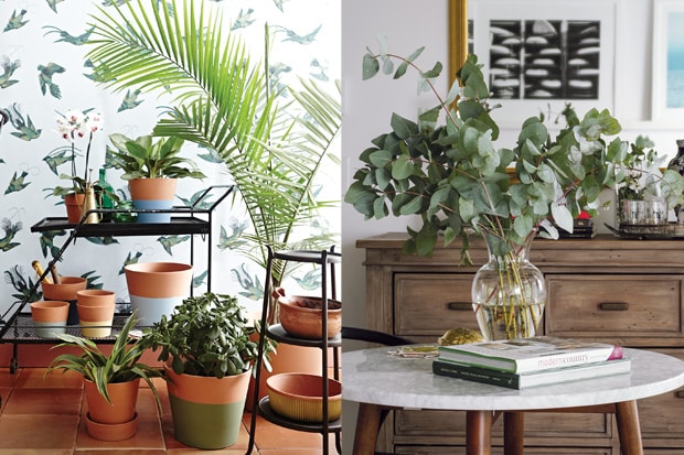 décorer_sa_pièce_avec_un_vase